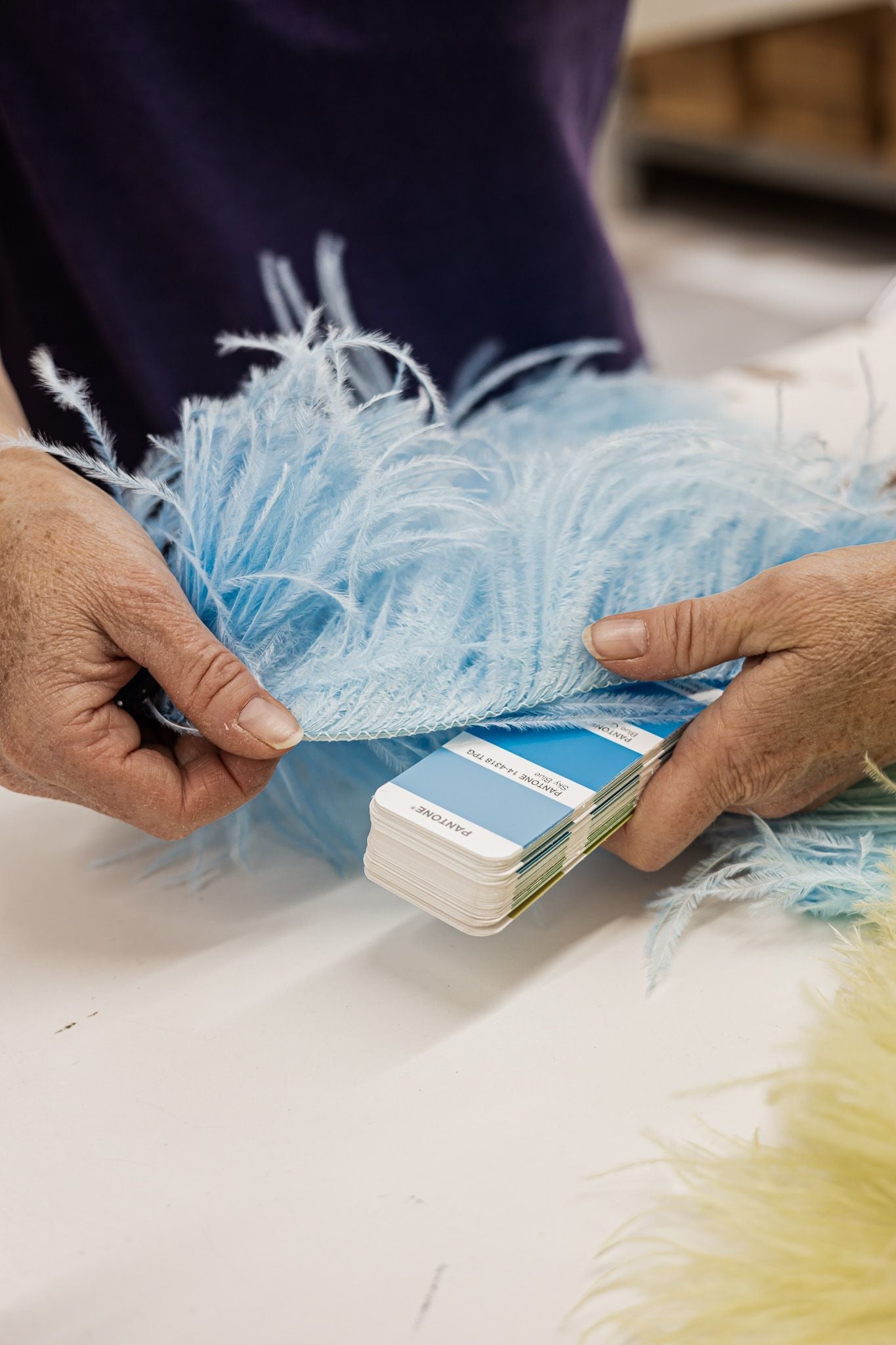 Feathers at the Grammies