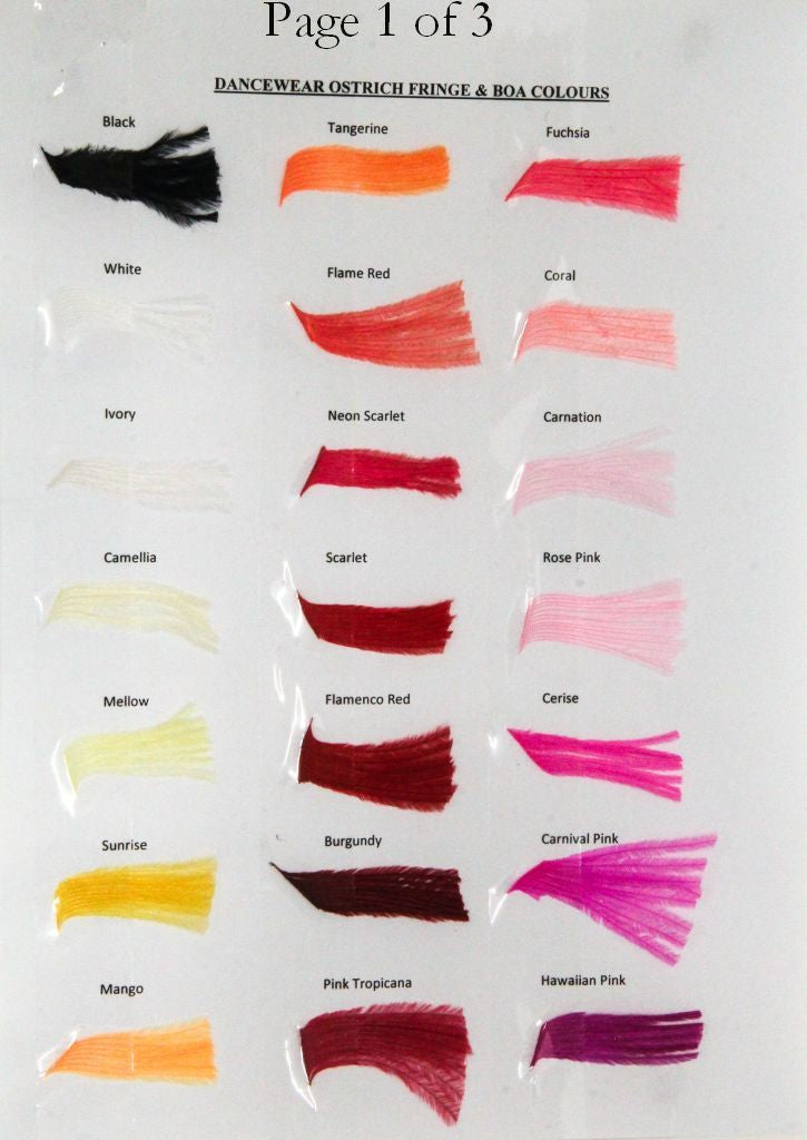 Dancewear Colour chart