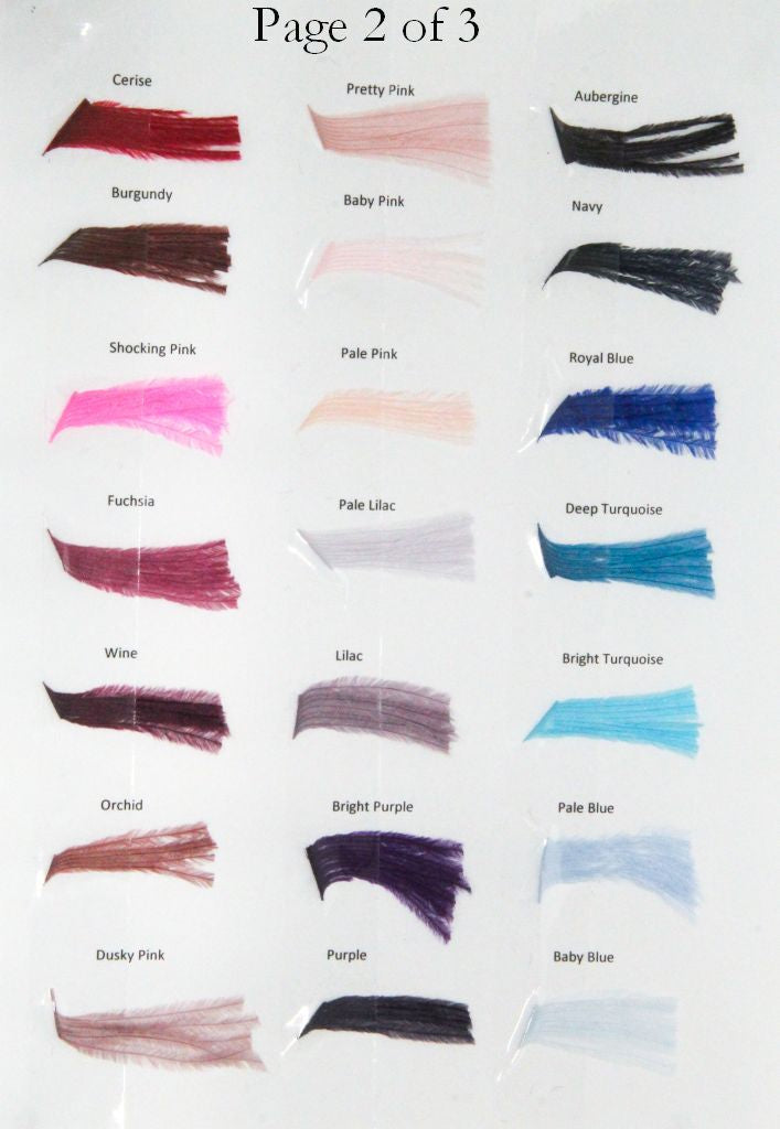 Fashion Colour chart