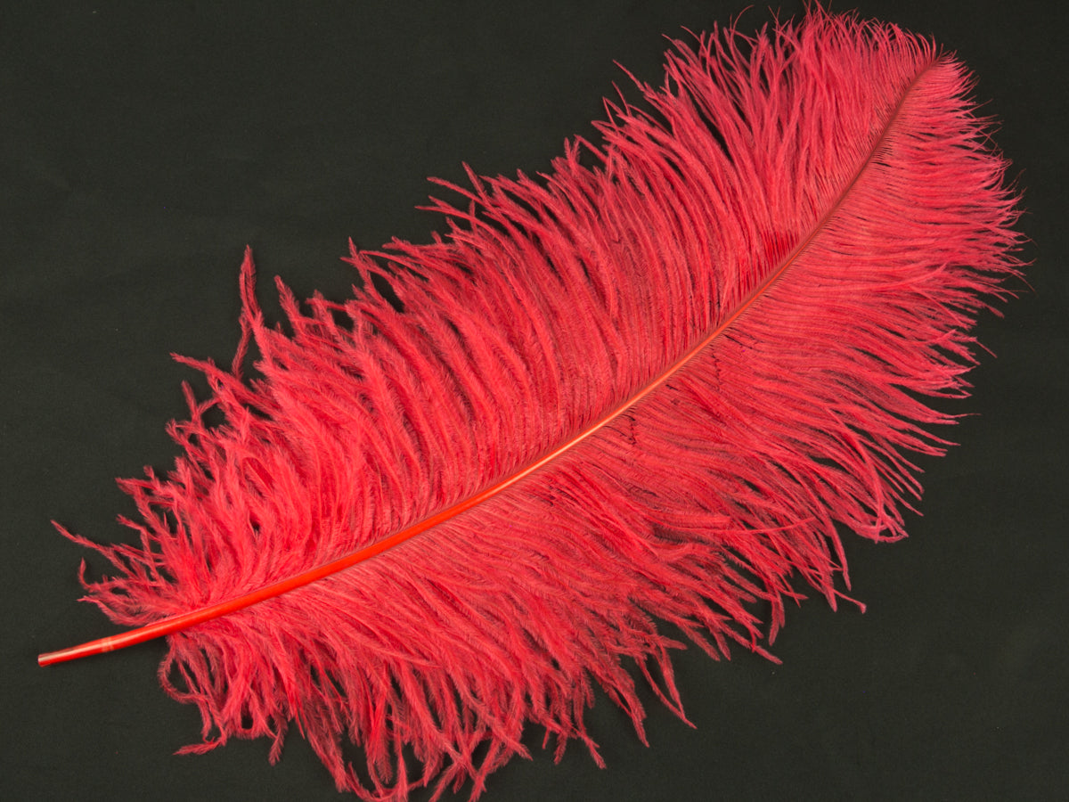 Ostrich Extra Long Premium Wing Feather (65-75cm) Red