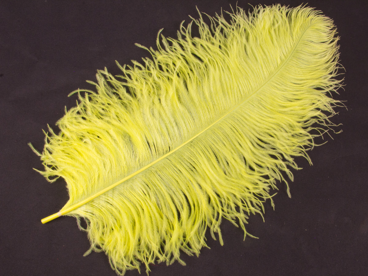 Ostrich Premium Wing Feather (50-65cm) Flo Yellow