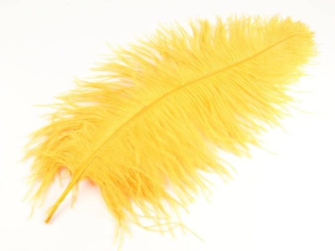 Ostrich Premium Wing Feather (50-65cm) Egg Yolk