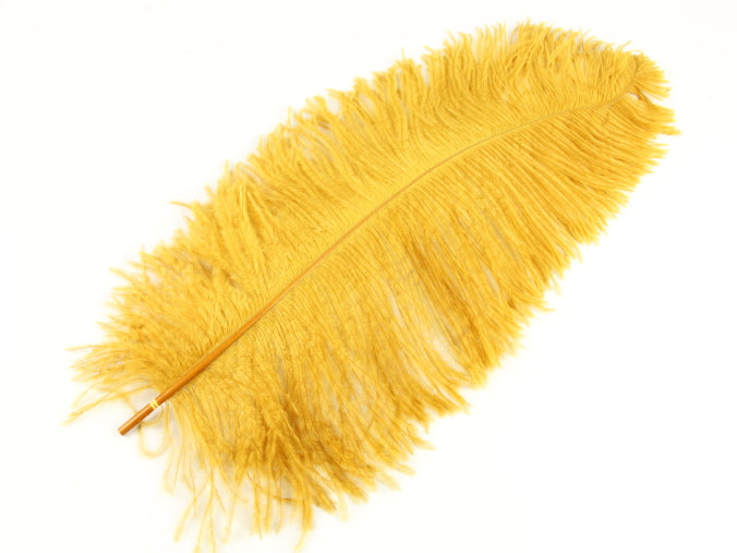 Ostrich Premium Wing Feather (50-65cm) Gold