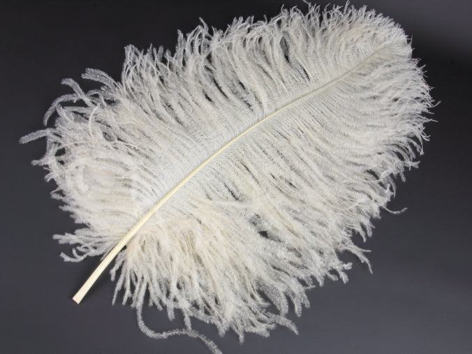 Ostrich Premium Wing Feather (50-65cm) Champagne