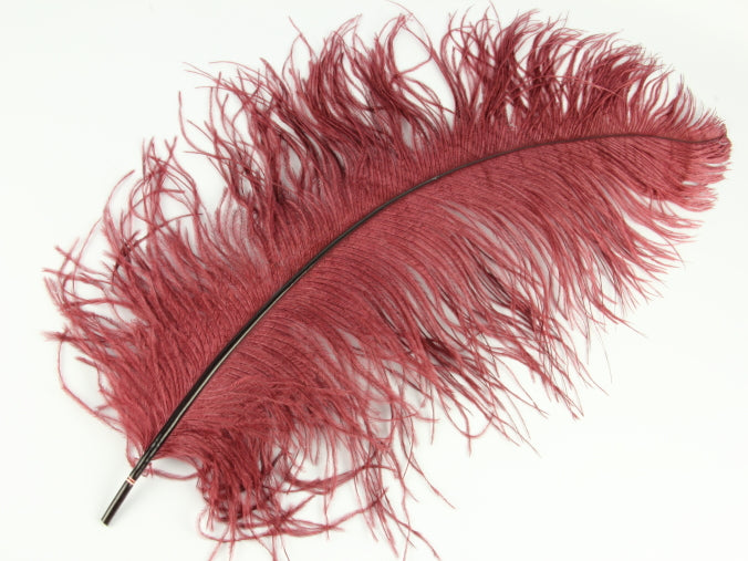 Ostrich Premium Wing Feather (50-65cm) Burgundy
