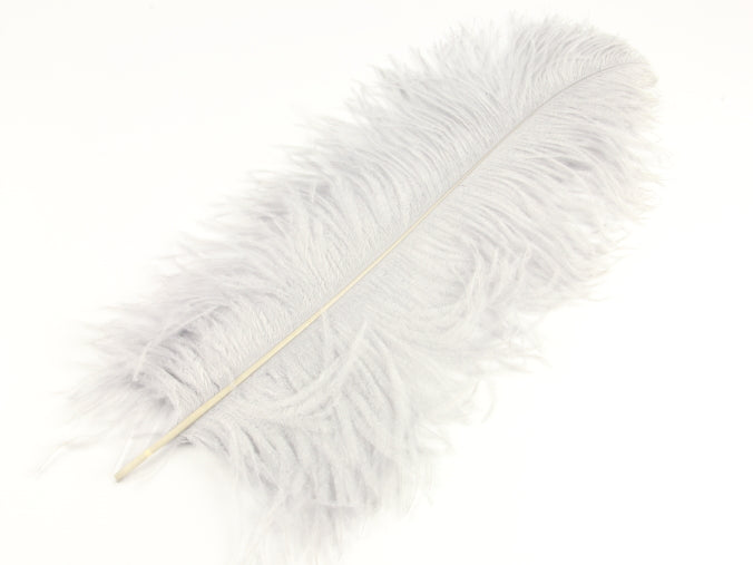Ostrich Premium Wing Feather (50-65cm) Grey