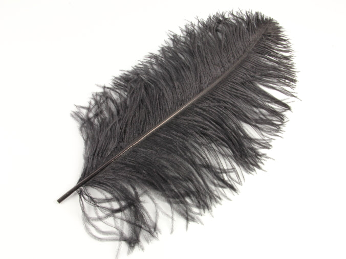 Ostrich Premium Wing Feather (50-65cm) Black