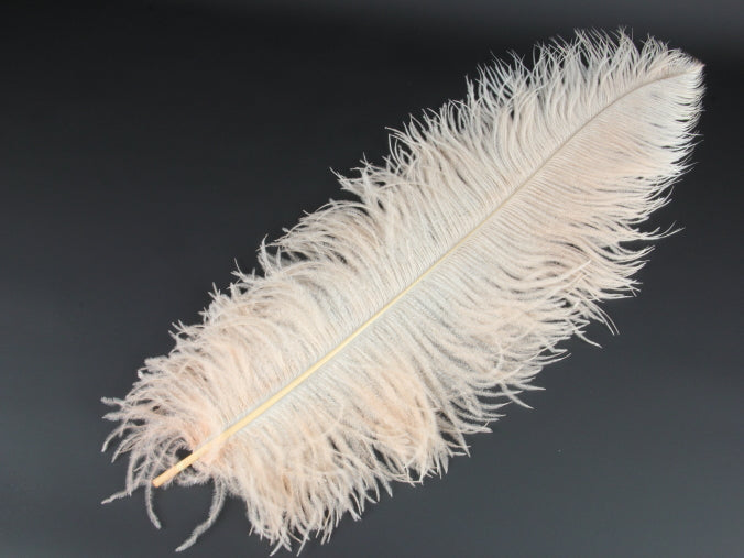 Ostrich Premium Wing Feather (50-65cm) Peach