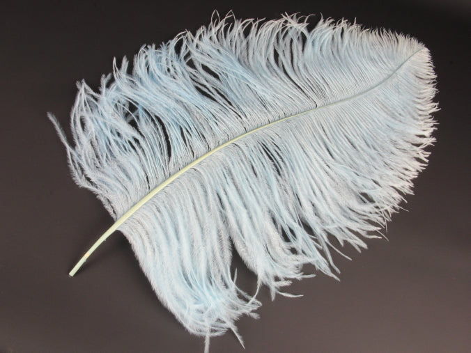 Ostrich Premium Wing Feather (50-65cm) Pale Turquoise