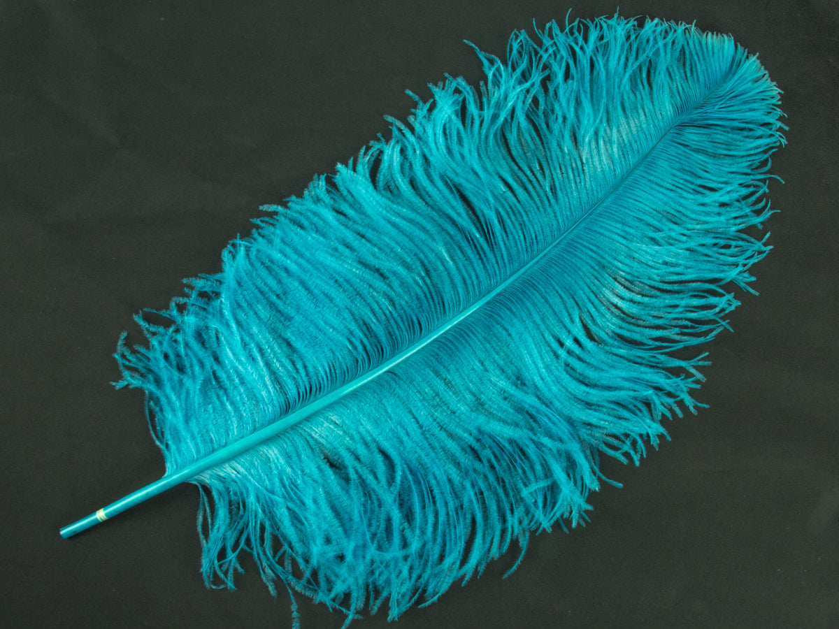 Ostrich Premium Wing Feather (50-65cm) Bright Turquoise