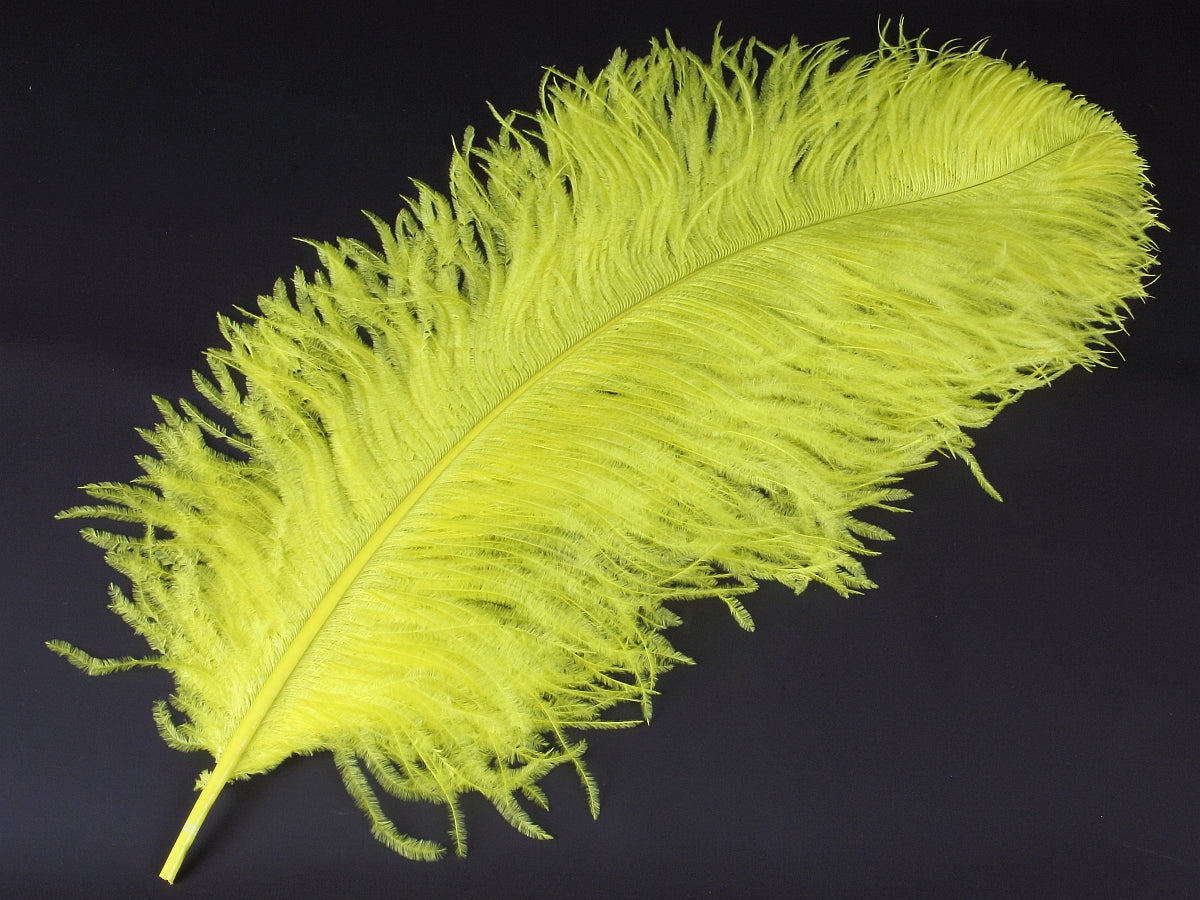 Ostrich Premium Wing Feather (50-65cm) Yellow