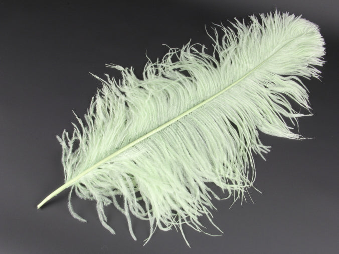 Ostrich Premium Wing Feather (50-65cm) Nil Green