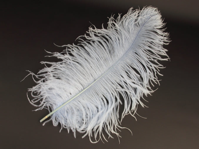 Ostrich Premium Wing Feather (50-65cm) Ice Blue