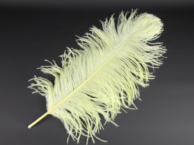 Ostrich Premium Wing Feather (50-65cm) Lemon