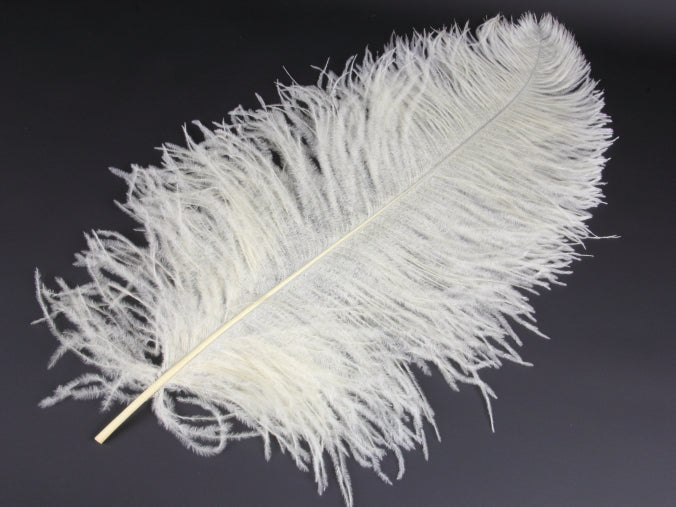 Ostrich Premium Wing Feather (50-65cm) Cream