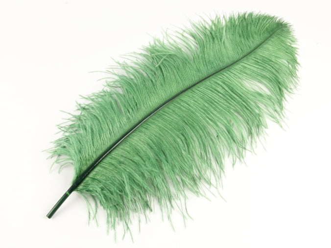 Ostrich Premium Wing Feather (50-65cm) Moss Green