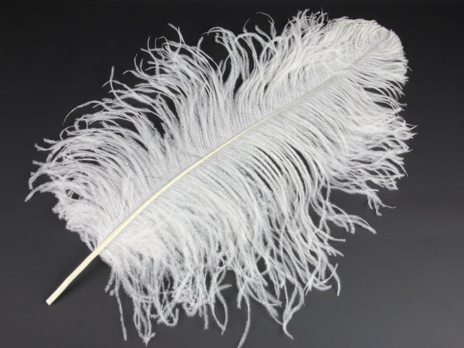 Ostrich Premium Wing Feather (50-65cm) Ivory