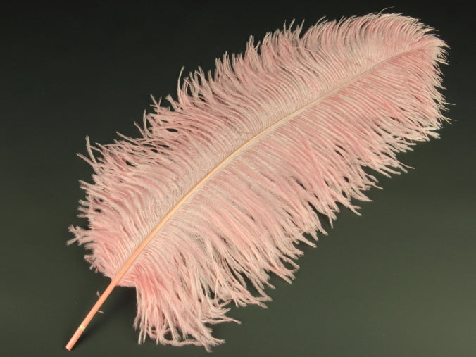 Ostrich Premium Wing Feather (50-65cm) Pretty Pink