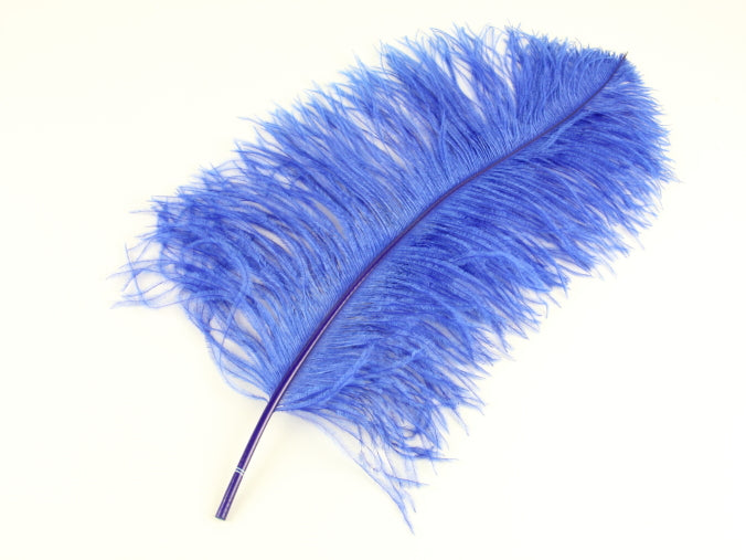 Ostrich Premium Wing Feather (50-65cm) Royal Blue