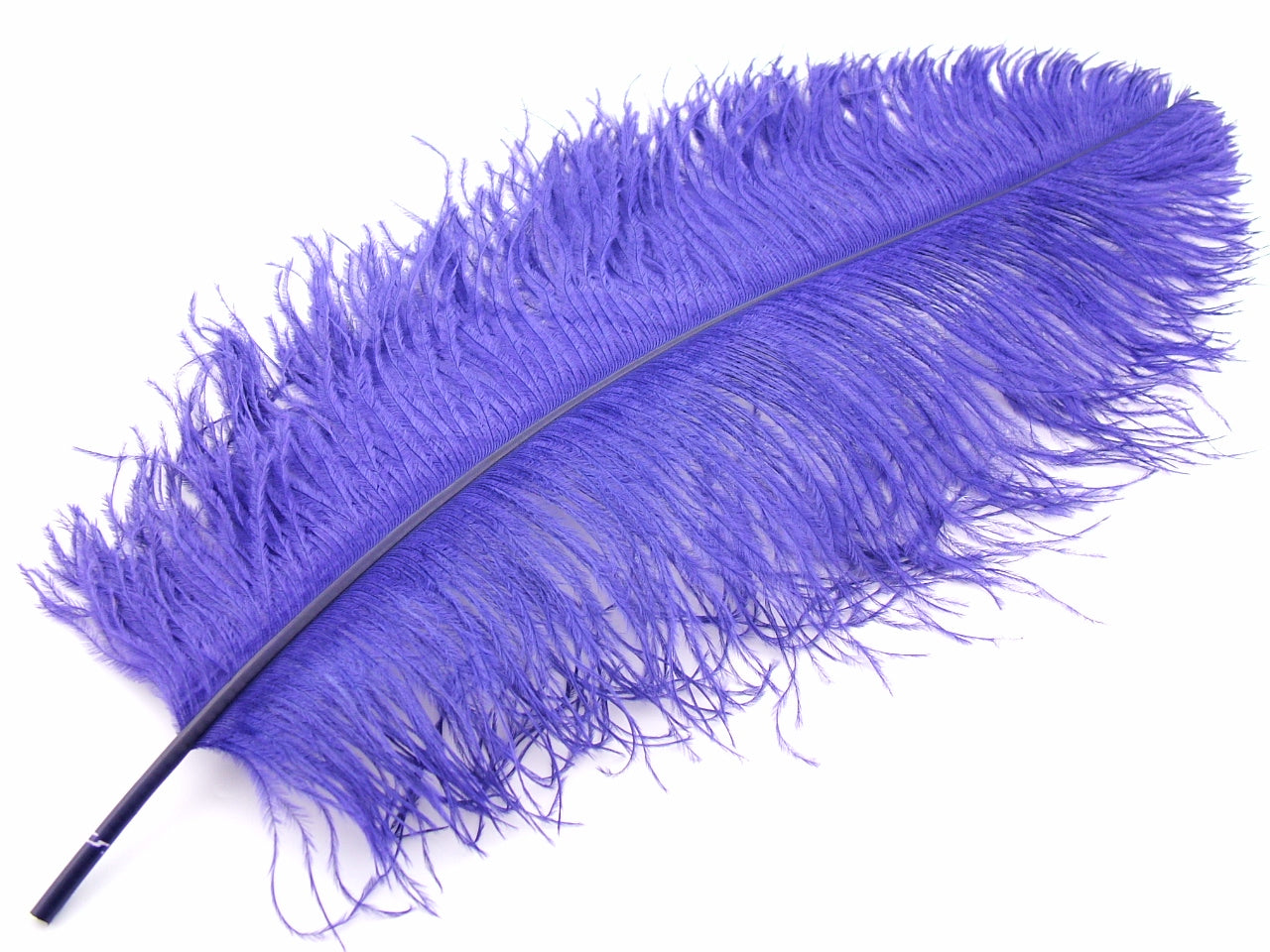 Ostrich Premium Wing Feather (50-65cm) Purple
