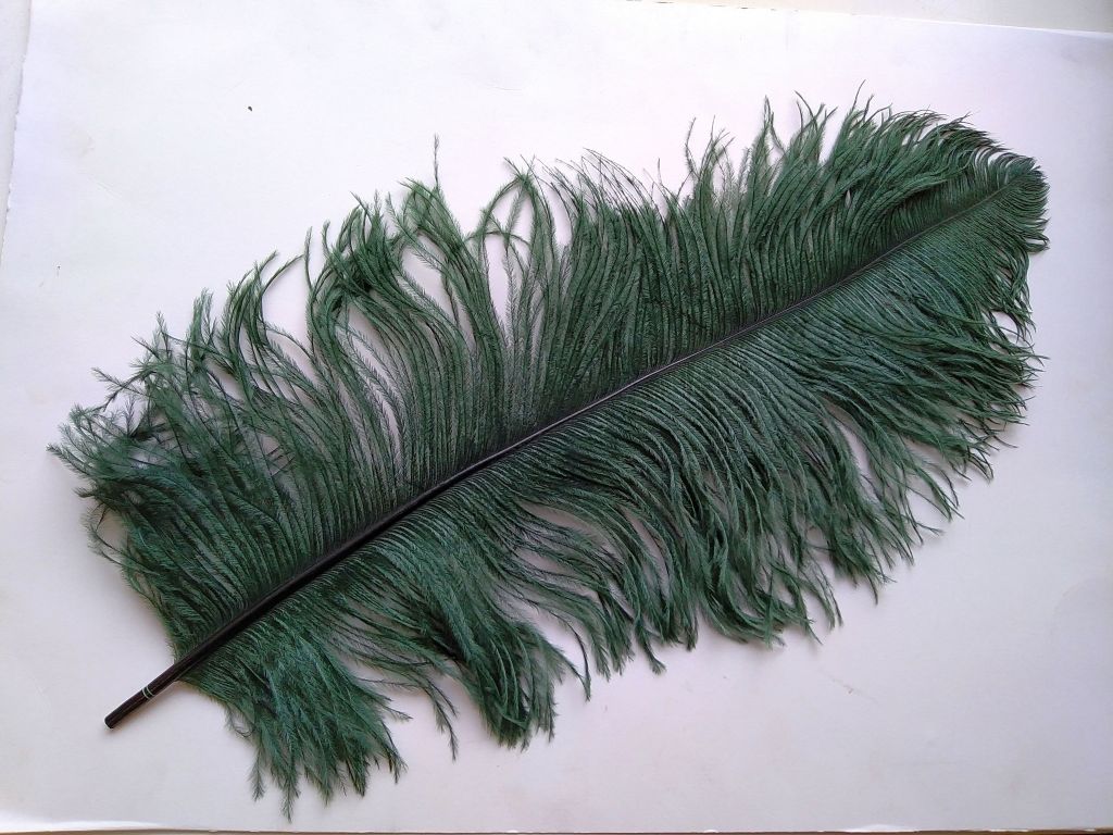 Ostrich Premium Wing Feather (50-65cm) Bottle Green
