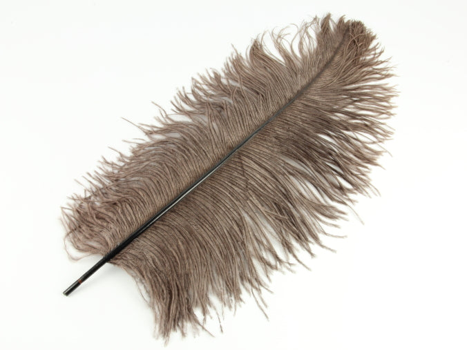 Ostrich Premium Wing Feather (50-65cm) Chocolate