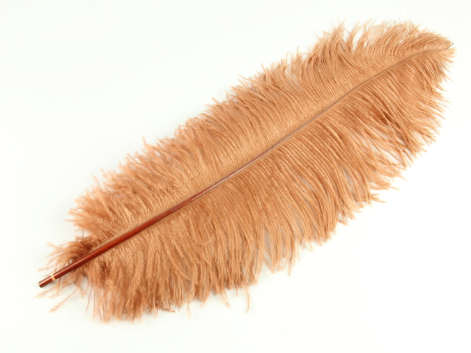 Ostrich Premium Wing Feather (50-65cm) Rust