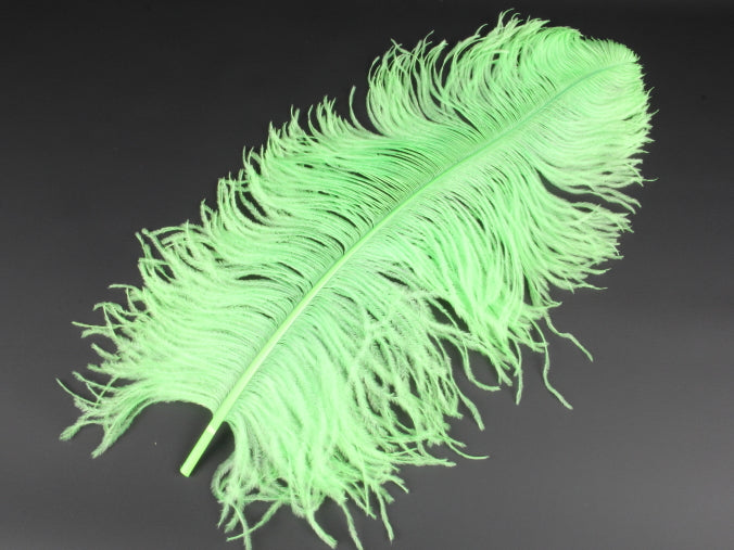Ostrich Premium Wing Feather (50-65cm) Lime