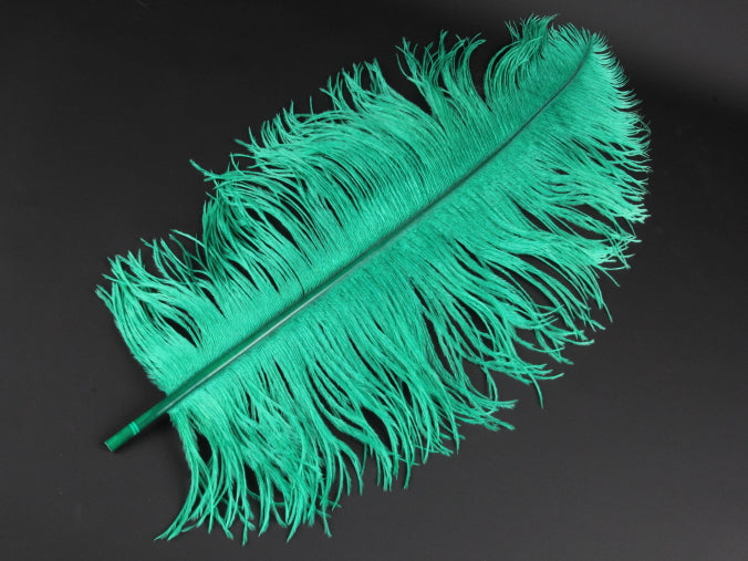 Ostrich Premium Wing Feather (50-65cm) Emerald