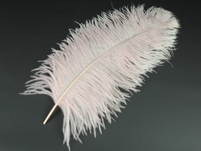 Ostrich Premium Wing Feather (50-65cm) Pale Pink
