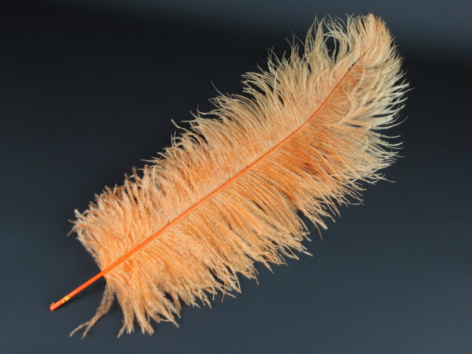 Ostrich Premium Wing Feather Short (40-50cm) Orange
