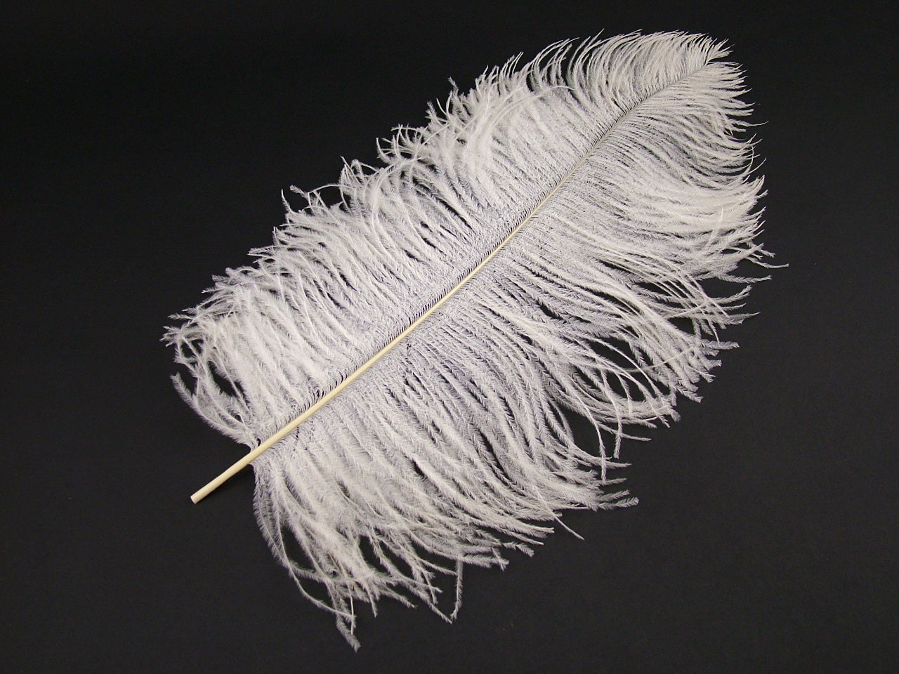 Ostrich Premium Wing Feather Short