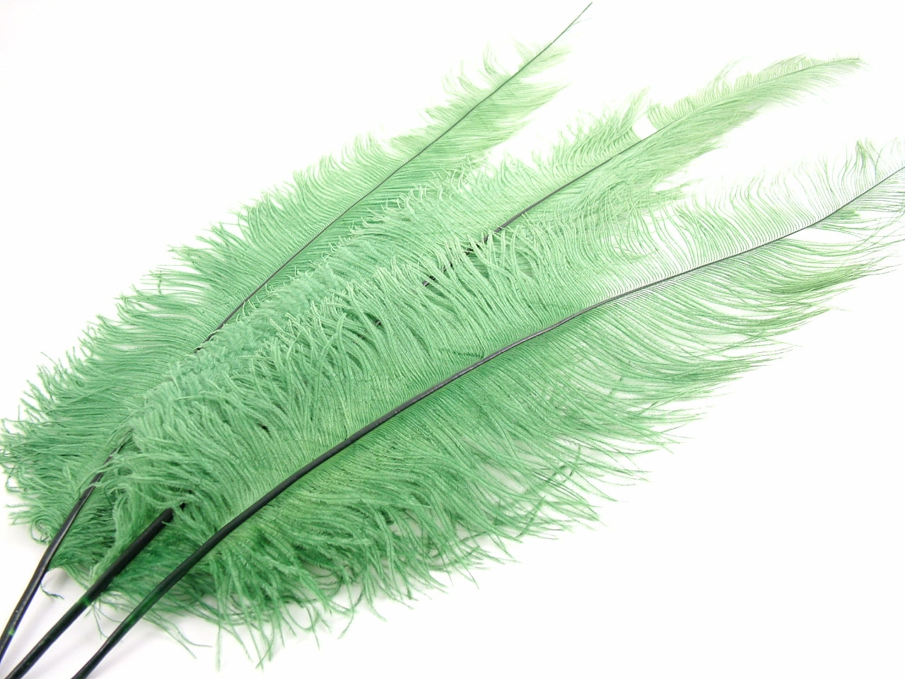MOSSSPO