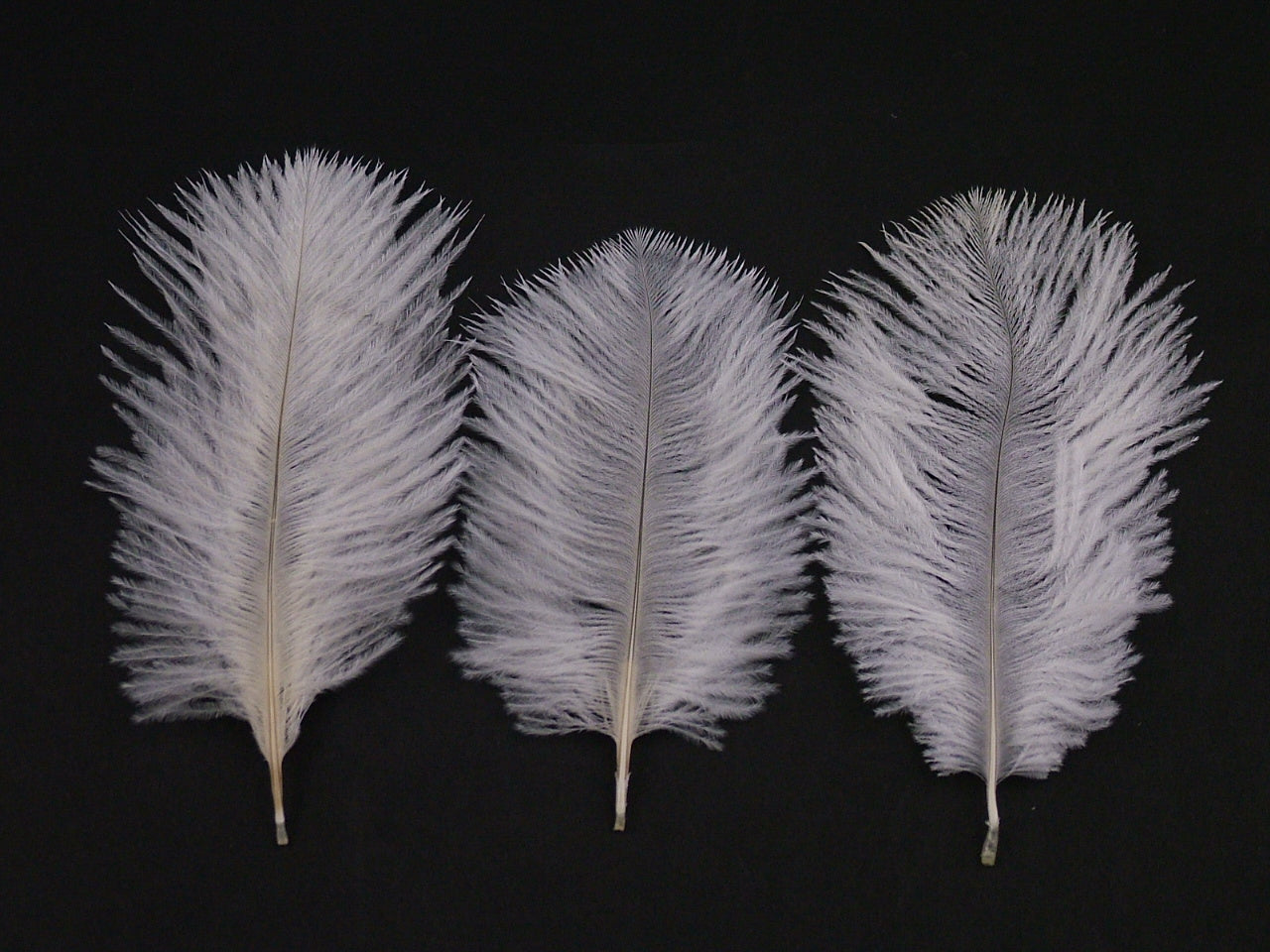 Ostrich Body Feather
