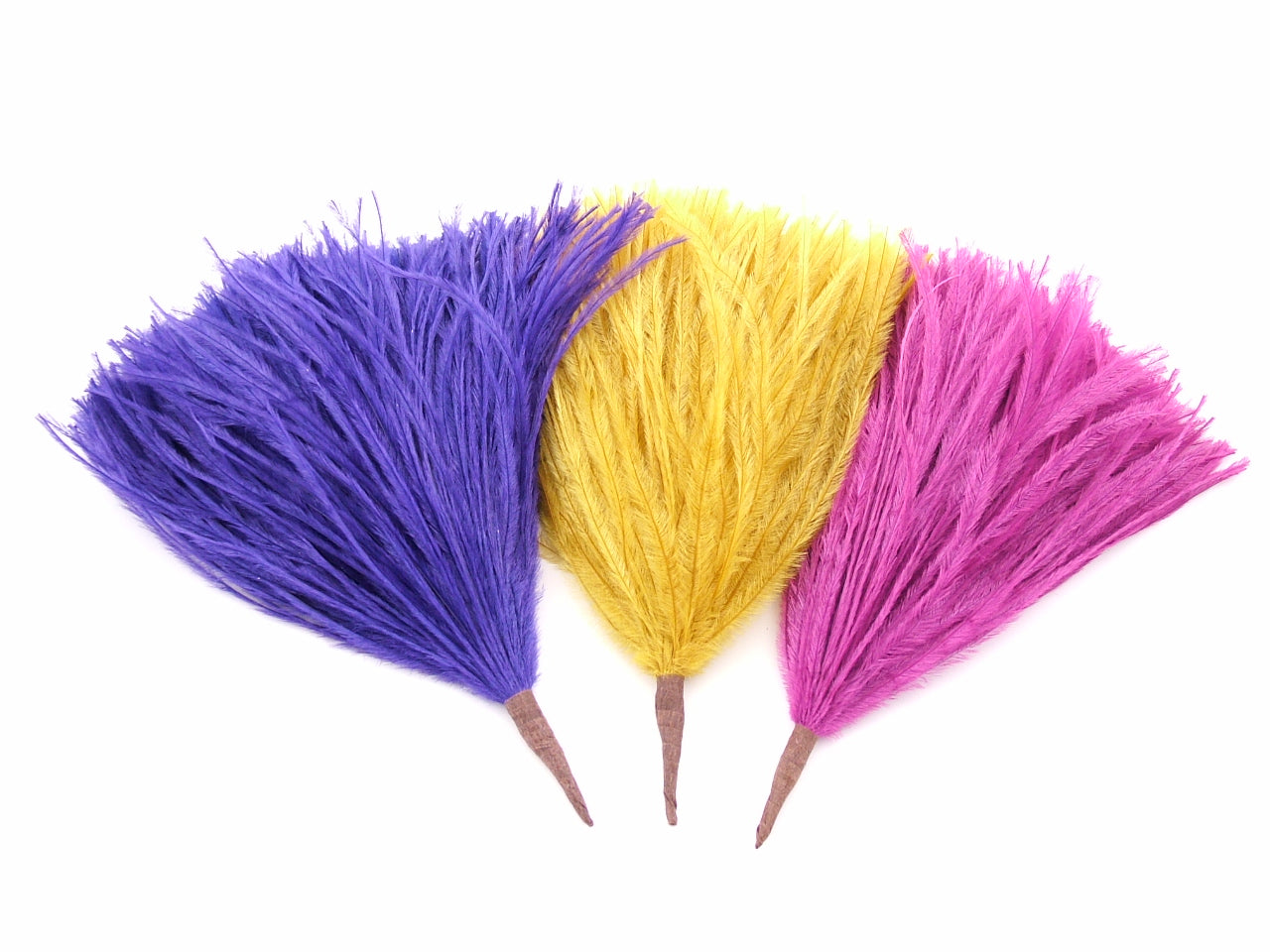 Ostrich Pom