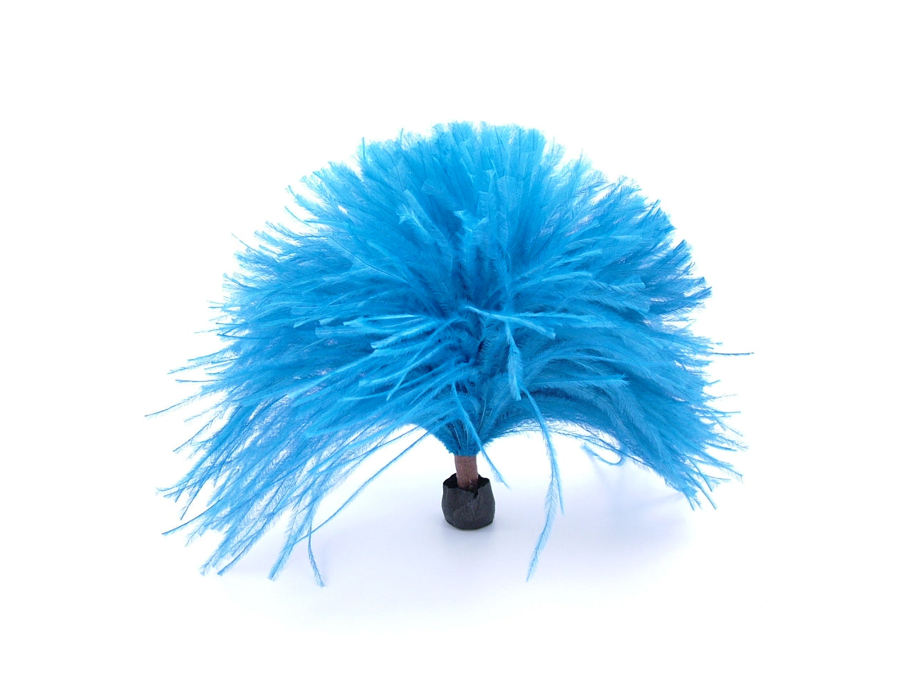 Ostrich Pom