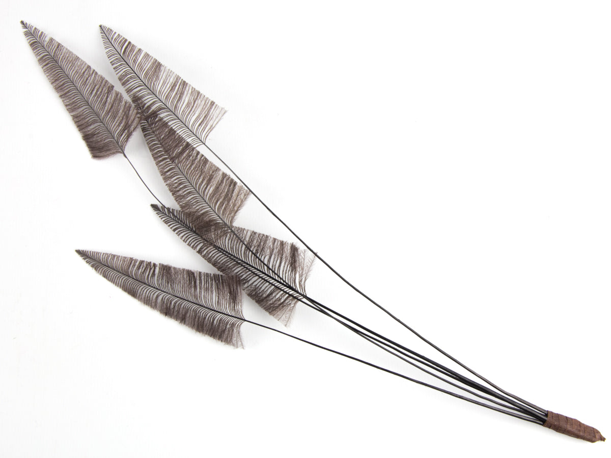 Stripped Ostrich Spray Chocolate