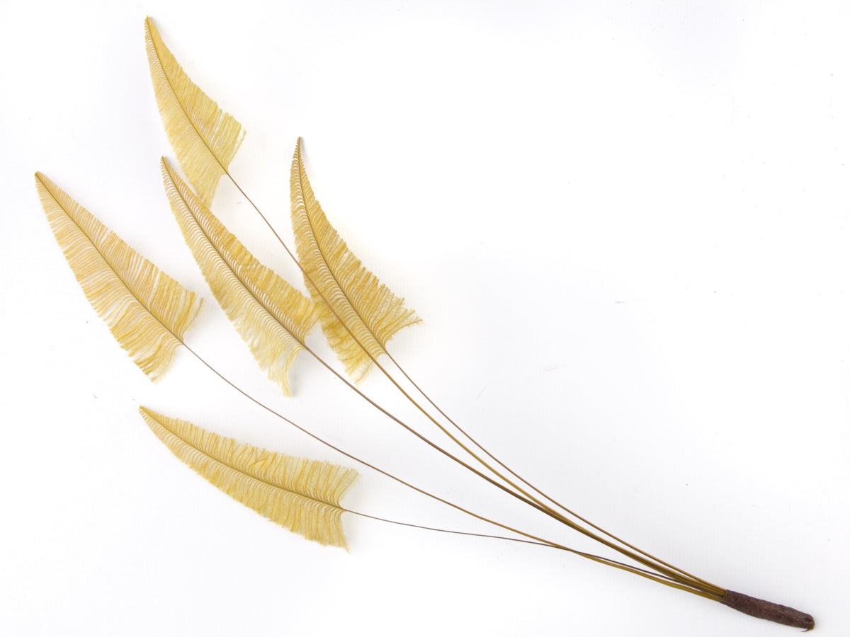 Stripped Ostrich Spray Gold