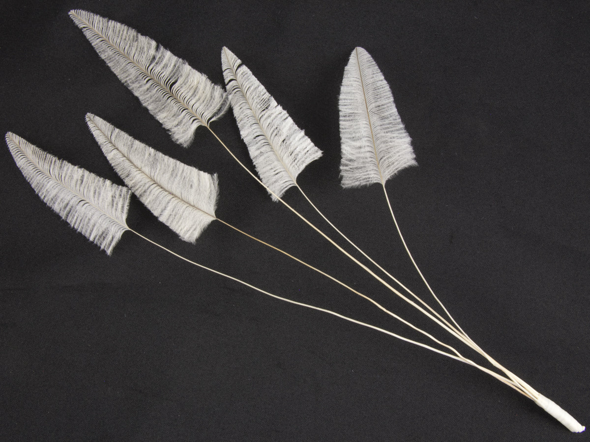 Stripped Ostrich Spray Ivory