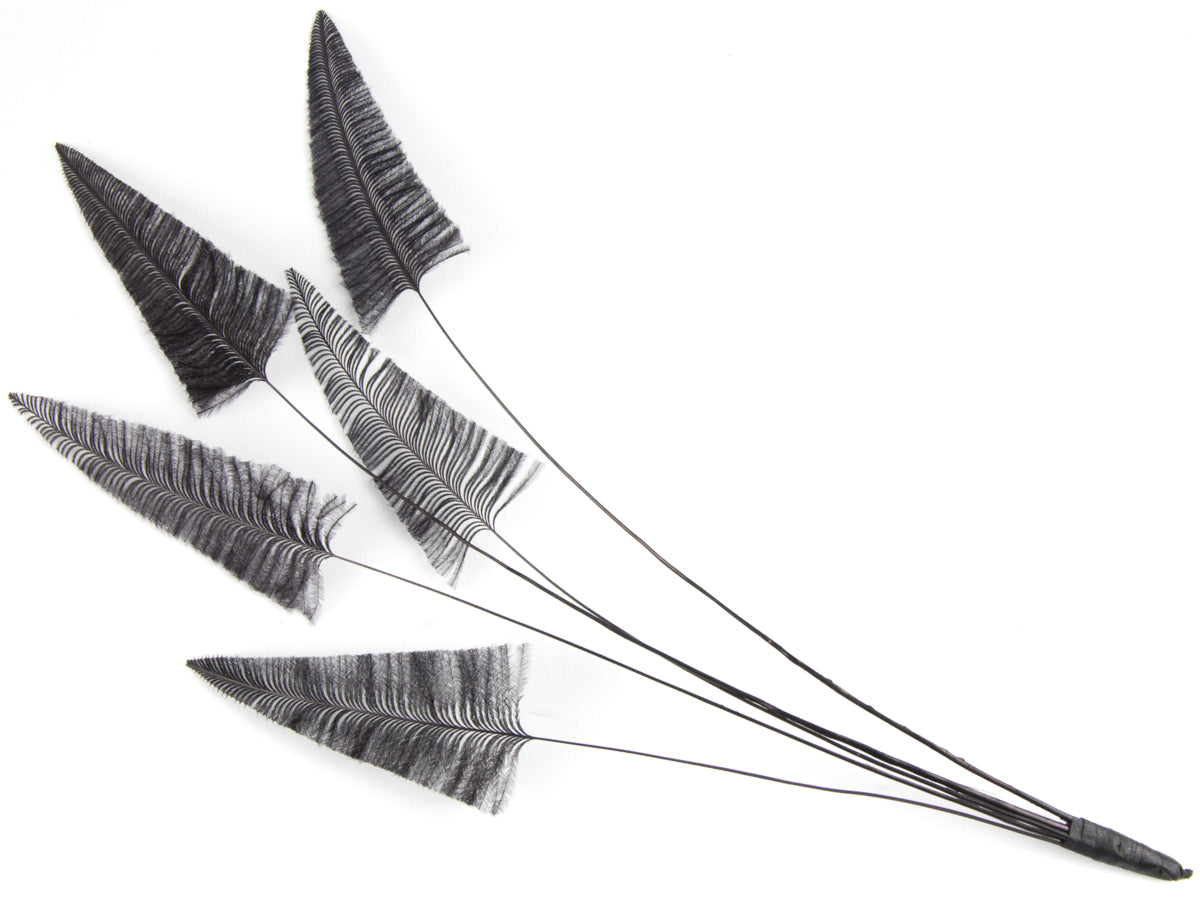 Stripped Ostrich Spray Black