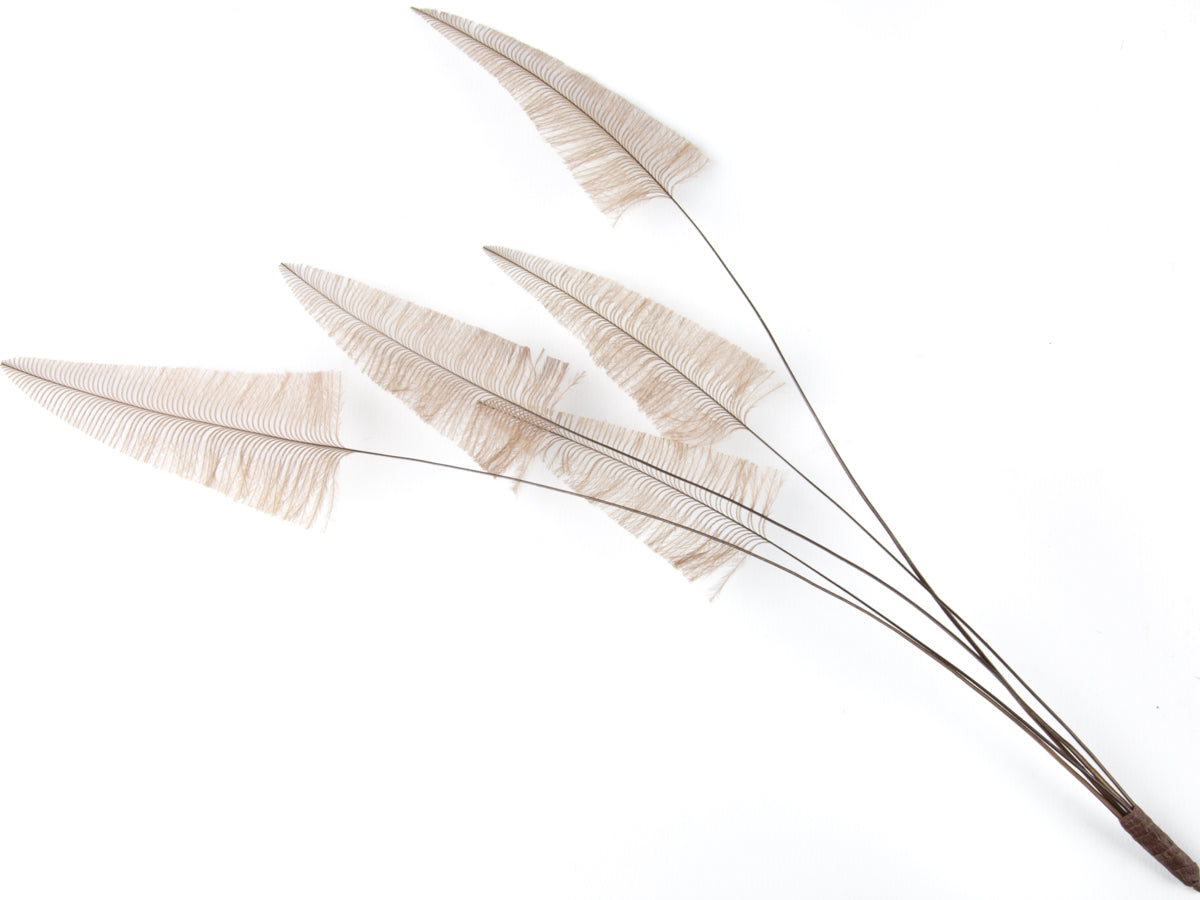 Stripped Ostrich Spray Coffee