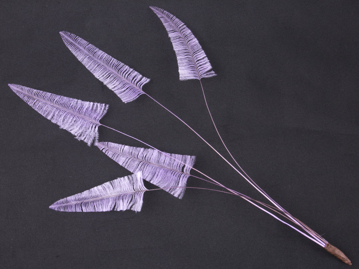 Stripped Ostrich Spray Lilac