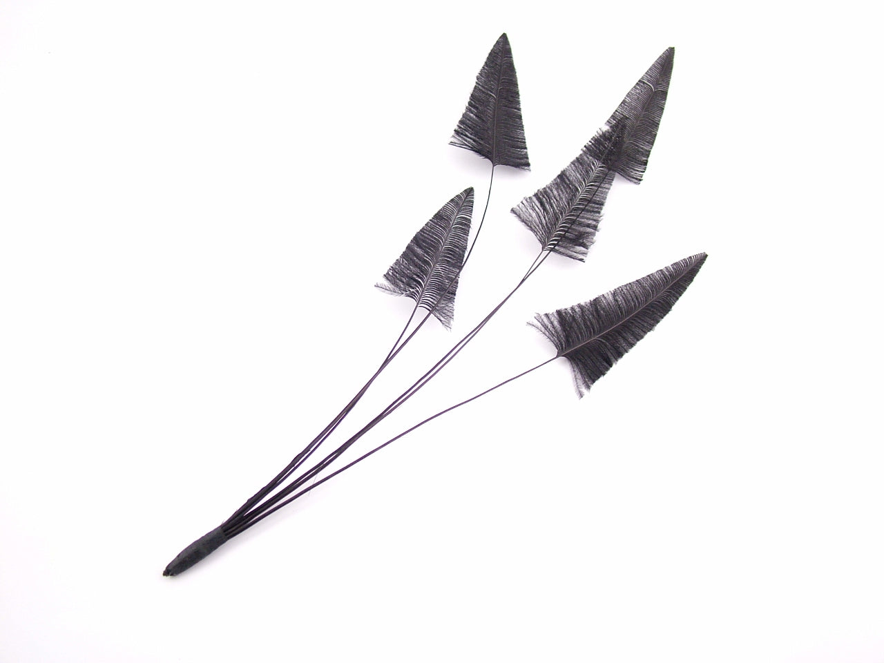 Stripped Ostrich Spray