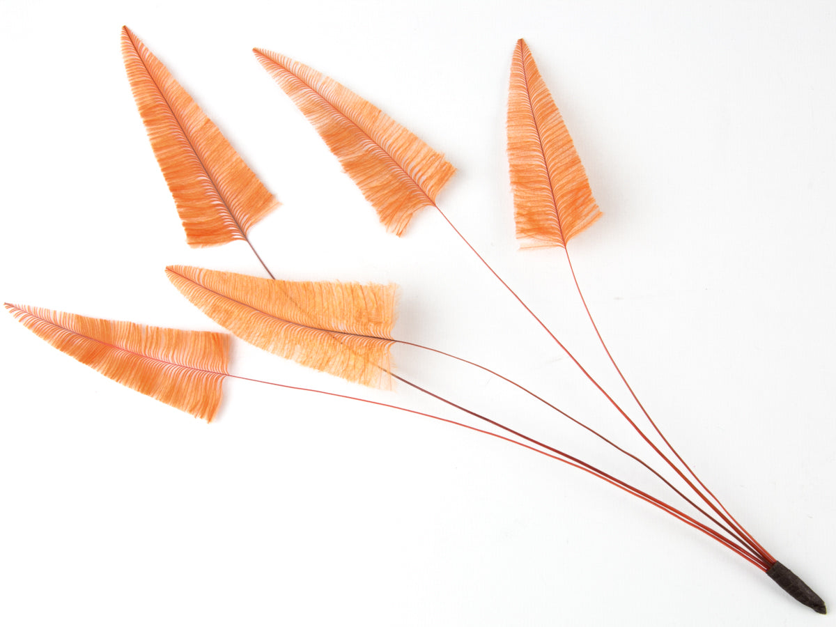 Stripped Ostrich Spray Orange