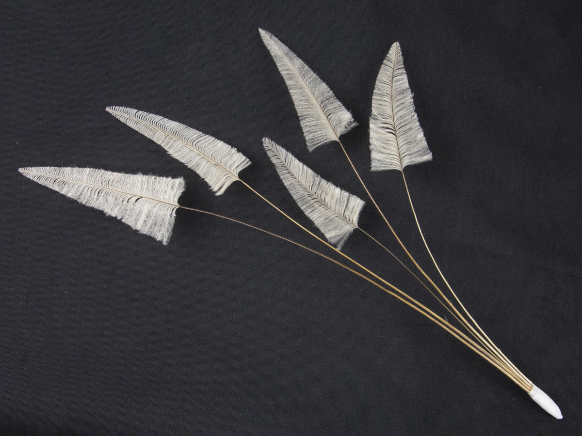 Stripped Ostrich Spray Champagne
