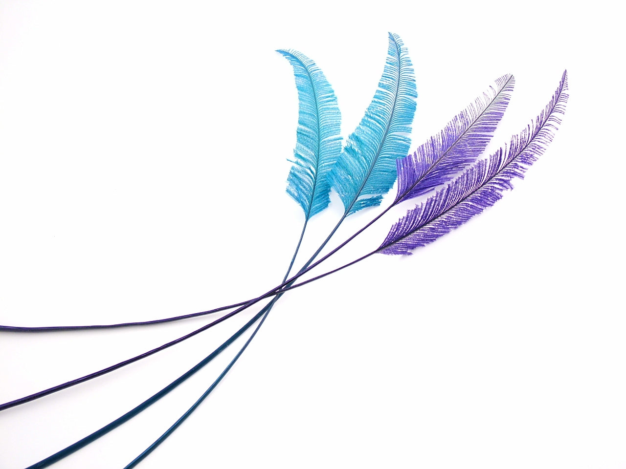 Ostrich Arrowhead Feather