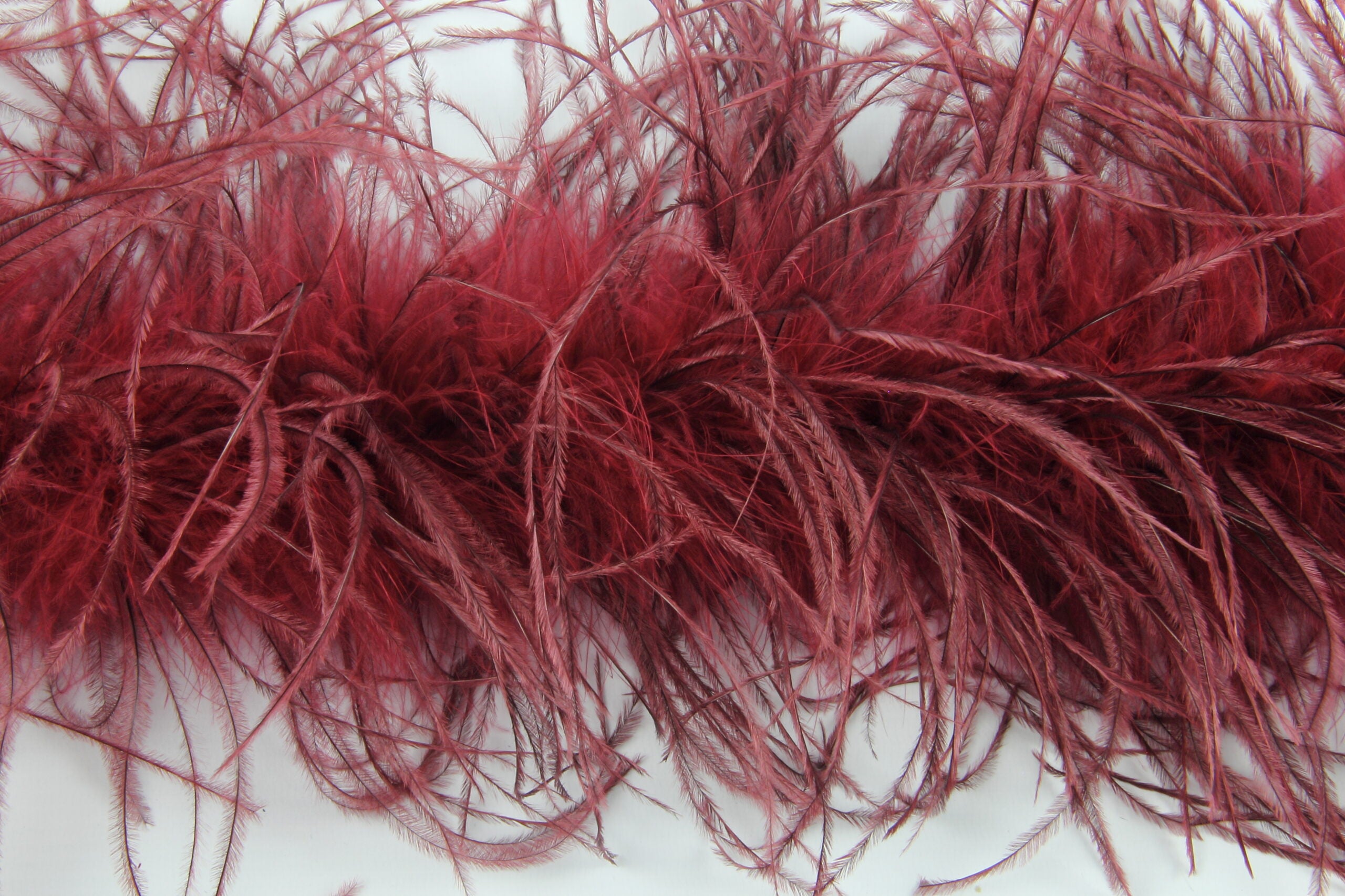 Ostrich/Marabout Boa 1.8m - 2ply Burgundy
