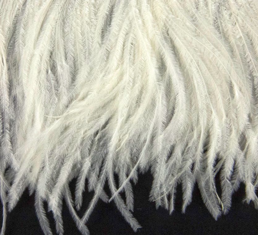 Ostrich Fringe 13-15cm depth per metre - 2 ply Cream