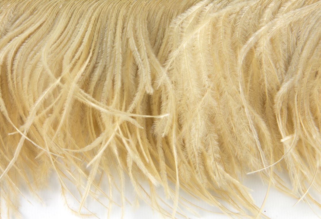 Ostrich Fringe 13-15cm depth per metre - 2 ply Light Gold