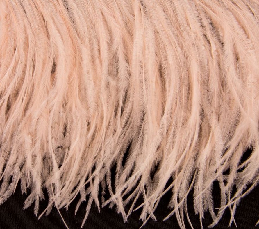 Ostrich Fringe 13-15cm depth per metre - 2 ply Apricot